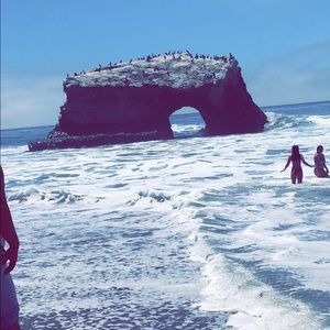 Meet your Posher, Gurleen